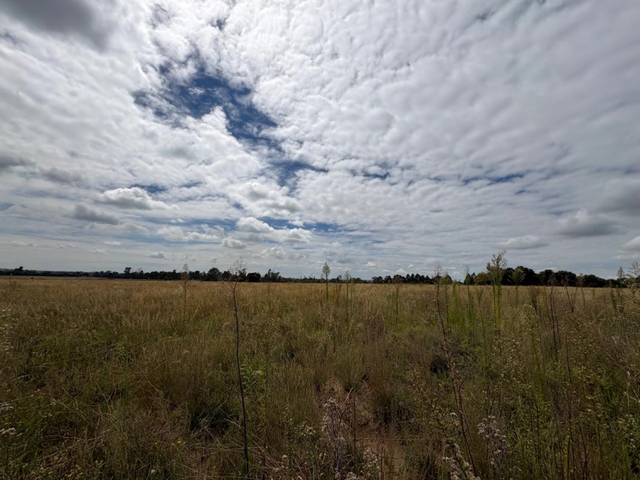 0 Bedroom Property for Sale in Vaalpark Free State